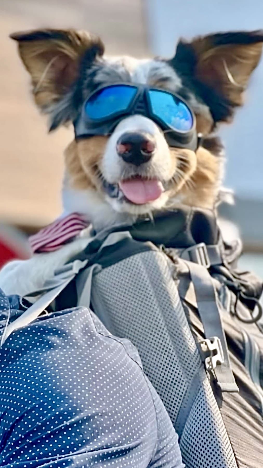 Young Casper smiling in blue goggles from a backpack before Harley riding adventures