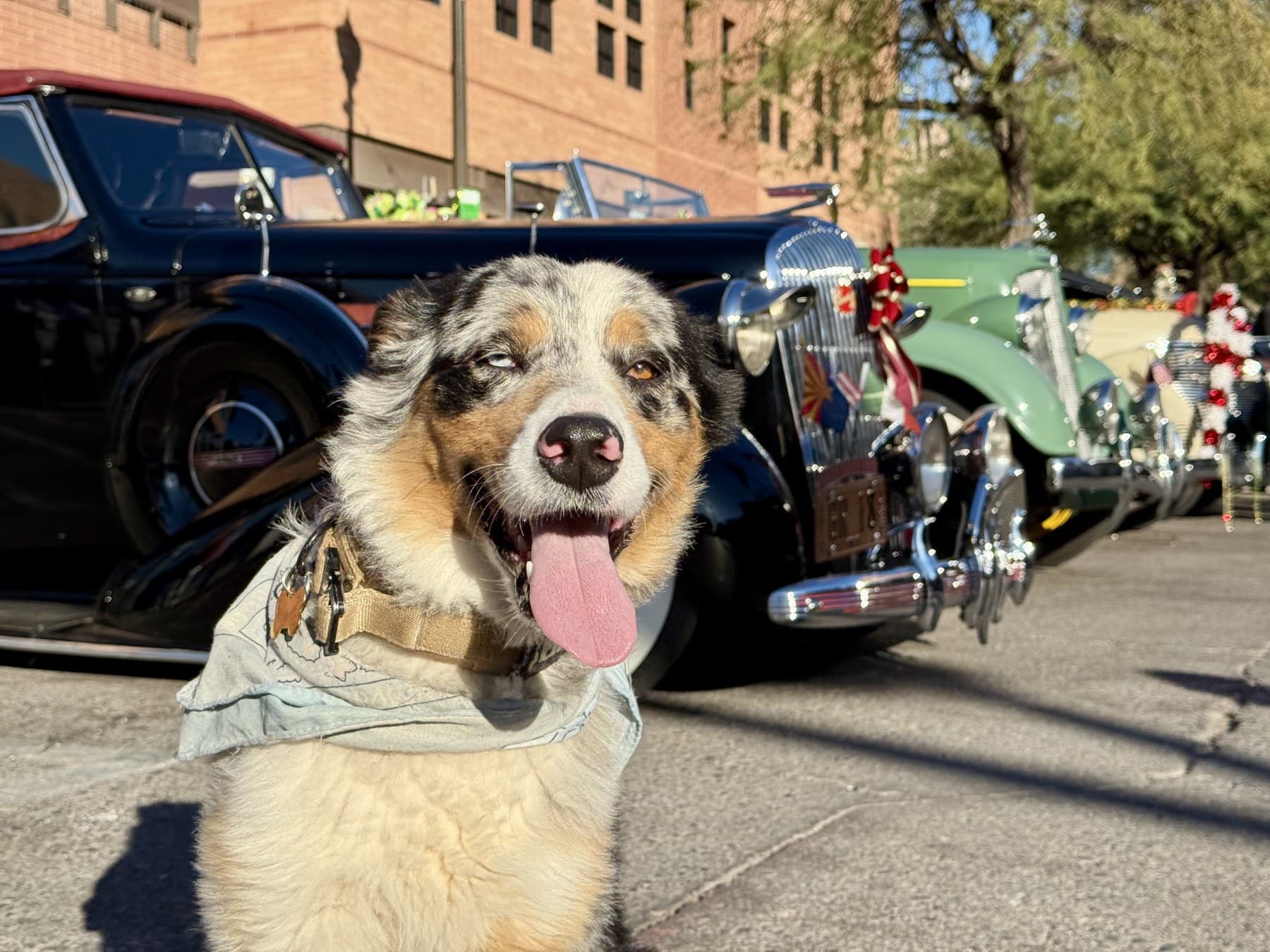 Casper smiling in front of classic cars on a Kimmer and Casper road trip